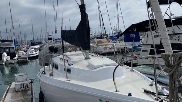 Pearson Sloop
