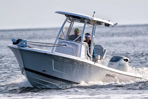 Blue Wave 2800 Pure Hybrid - main image