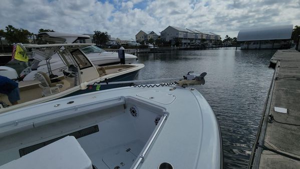 Yellowfin 29 image