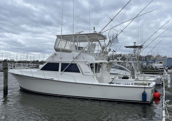 Henriques 38 Sportfisherman image