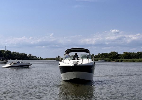 Bayliner 340 image