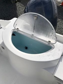 Sea Fox 256 Commander image