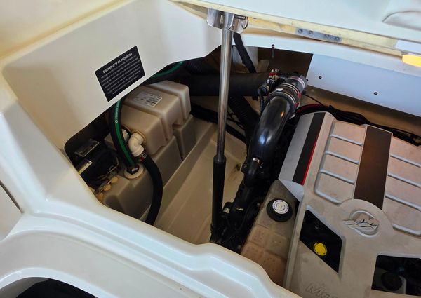 Sea Ray 270 SLX image