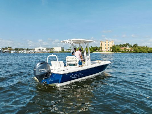 Robalo 226 Cayman - main image