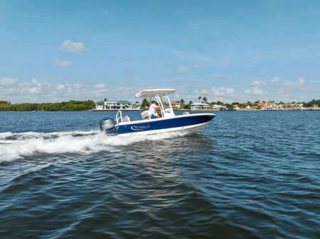 Robalo 226 Cayman image