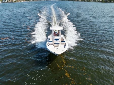 Robalo 226 Cayman image