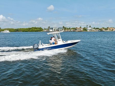 Robalo 226 Cayman image