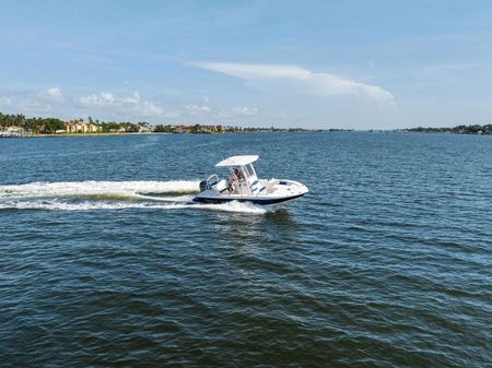 Robalo 226 Cayman image