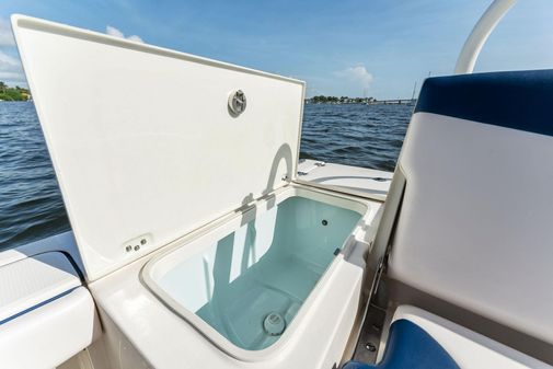 Robalo 226 Cayman image