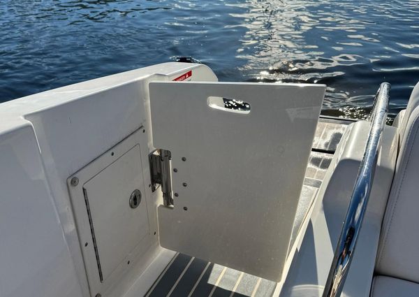 Chaparral 287 SSX image