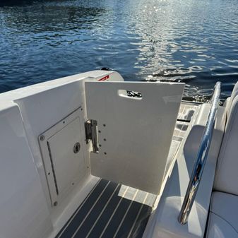 Chaparral 287 SSX image