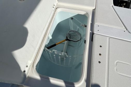 Robalo 246 Cayman image