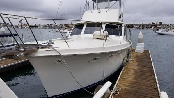 Hatteras SPORTFISH image