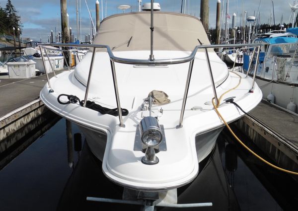 Sea-ray 340-AMBERJACK image