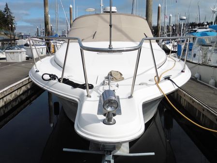 Sea Ray 340 Amberjack image