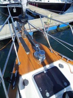 Island-packet 440 image