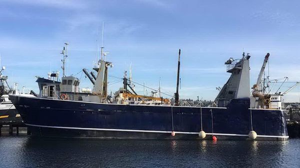 Commercial Tender / Packer, Longliner