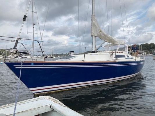 Frers 38 - main image