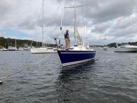 Frers 38 image