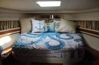 Sea Ray Sundancer image