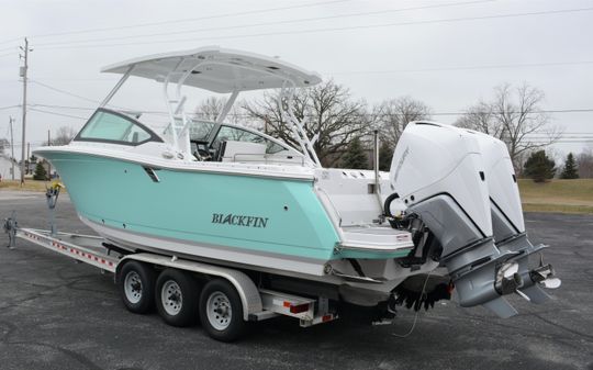 Blackfin 272 DC image