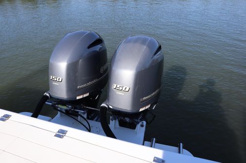 Seaswirl STRIPER image