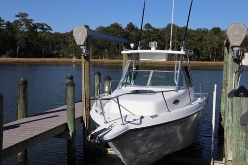 Seaswirl STRIPER image