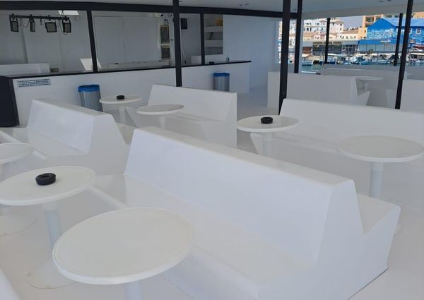 Power Catamaran image