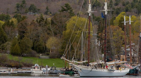 Schooner HARVEY GAMAGE COASTAL image