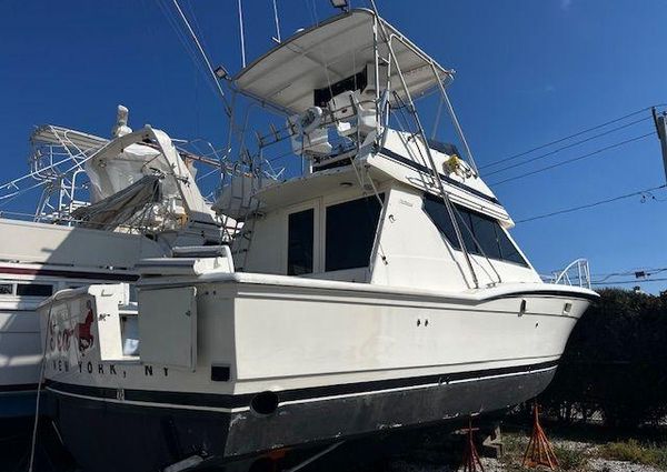 Hatteras 38-CONVERTIBLE image