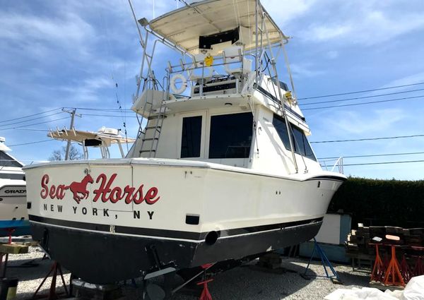 Hatteras 38-CONVERTIBLE image