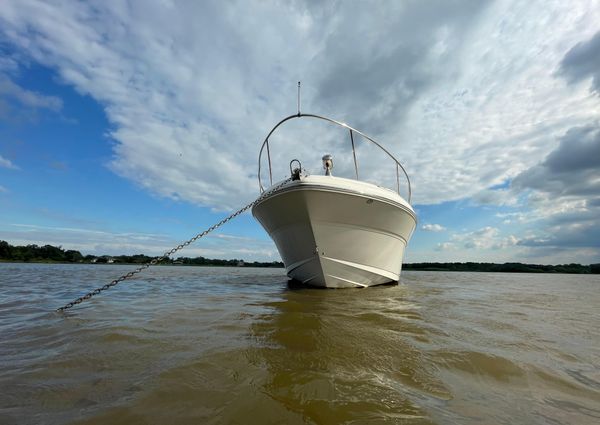 Sea-ray 340-SUNDANCER image