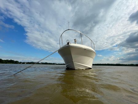 Sea-ray 340-SUNDANCER image