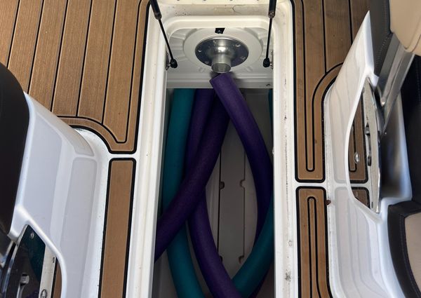 Sea Ray SDX 250 Outboard image