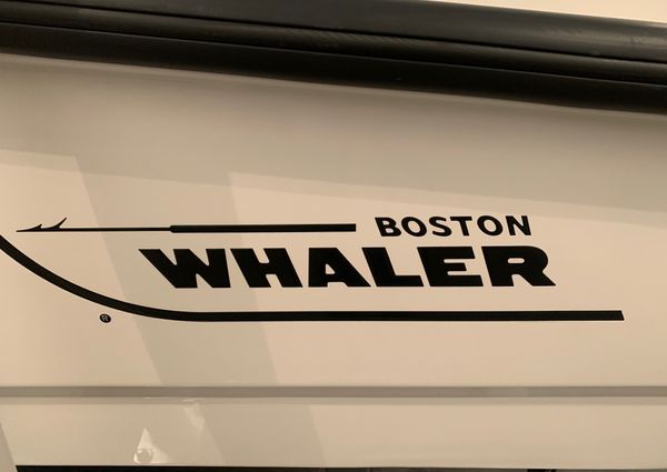 Boston-whaler 210-DAUNTLESS image