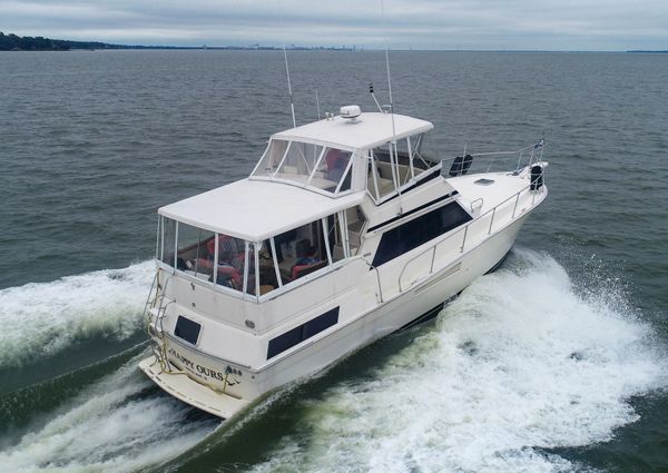 Viking 44 Motor Yacht image