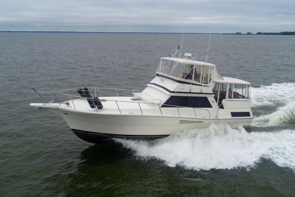 Viking 44 Motor Yacht - main image