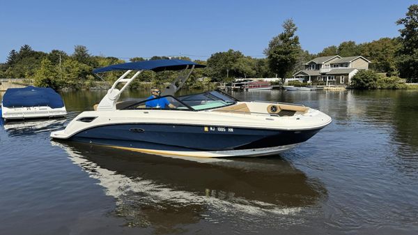 Sea Ray SDX 250 