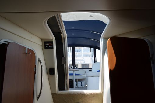 Bayliner 325 Sunbridge image