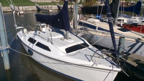 Catalina 250