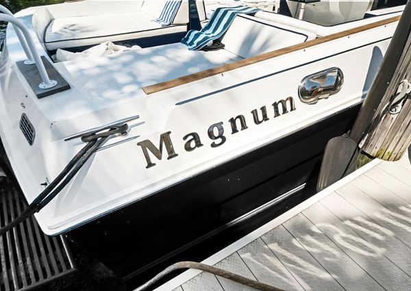 Magnum 53 image