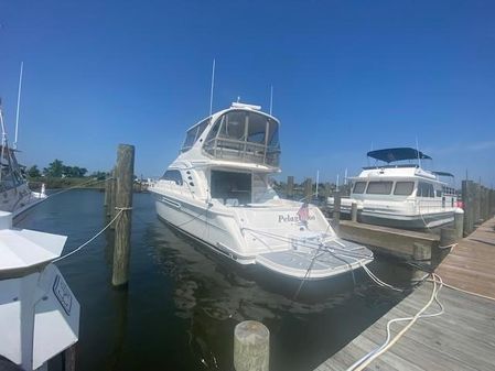 Sea Ray 560 Sedan Bridge image