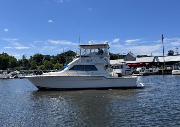 Tiara Yachts 43 Convertible image