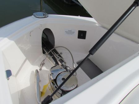 Regal 2800 Bowrider image