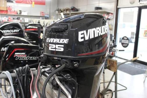 Evinrude E25DPGLAFD image