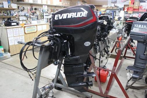 Evinrude E25DPGLAFD image