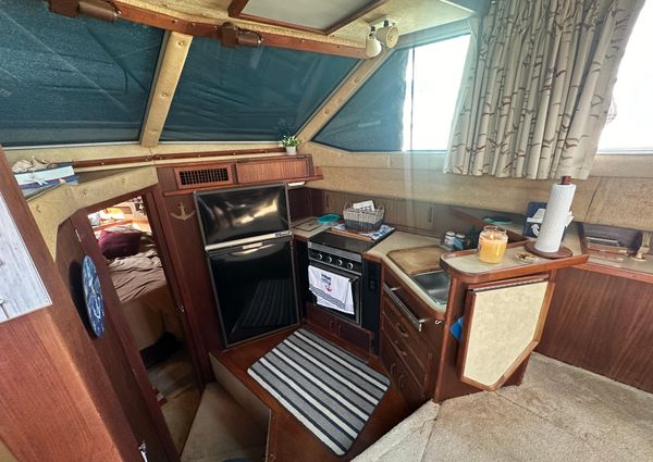 Sea-ray 360-AFT-CABIN image