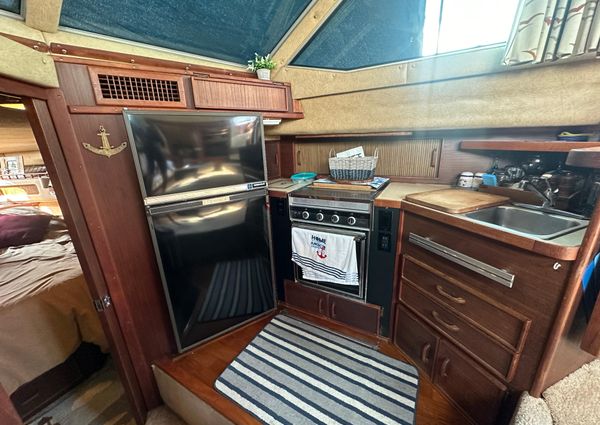 Sea-ray 360-AFT-CABIN image