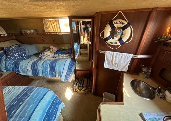 Sea-ray 360-AFT-CABIN image