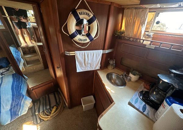 Sea-ray 360-AFT-CABIN image